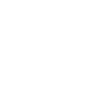 Elnoon Foundation Logo